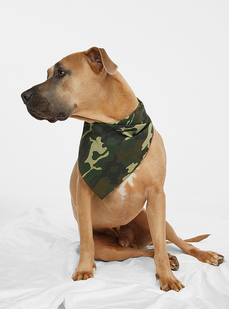 Solid cheap dog bandanas